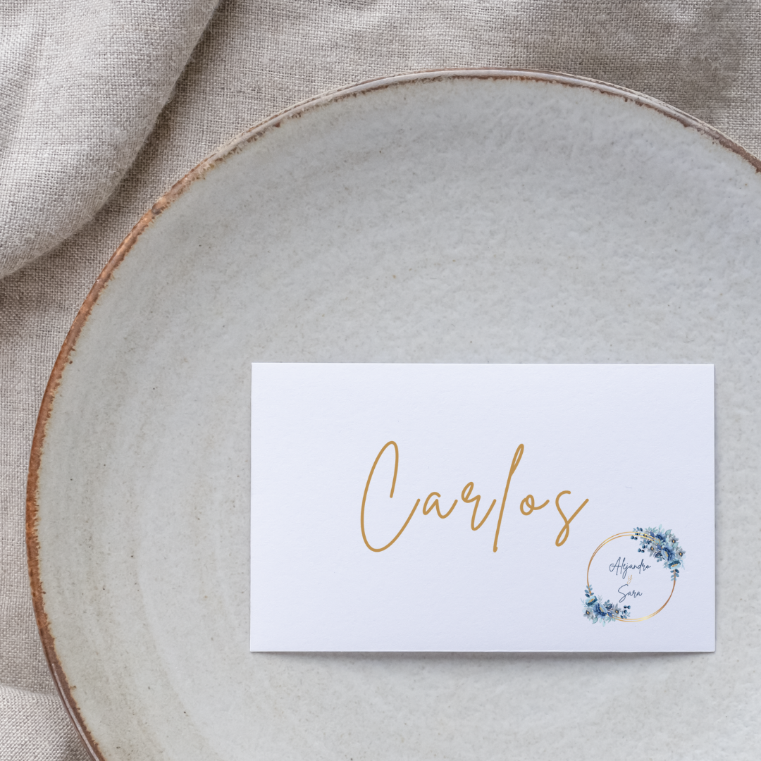 Blue Serenity - Mock up - Complementos - Marcasitios