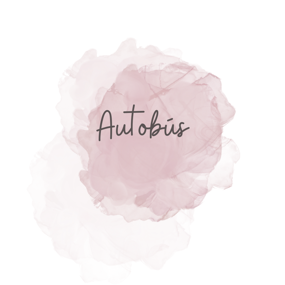 Haze Reveale - Cuadrado - Autobus