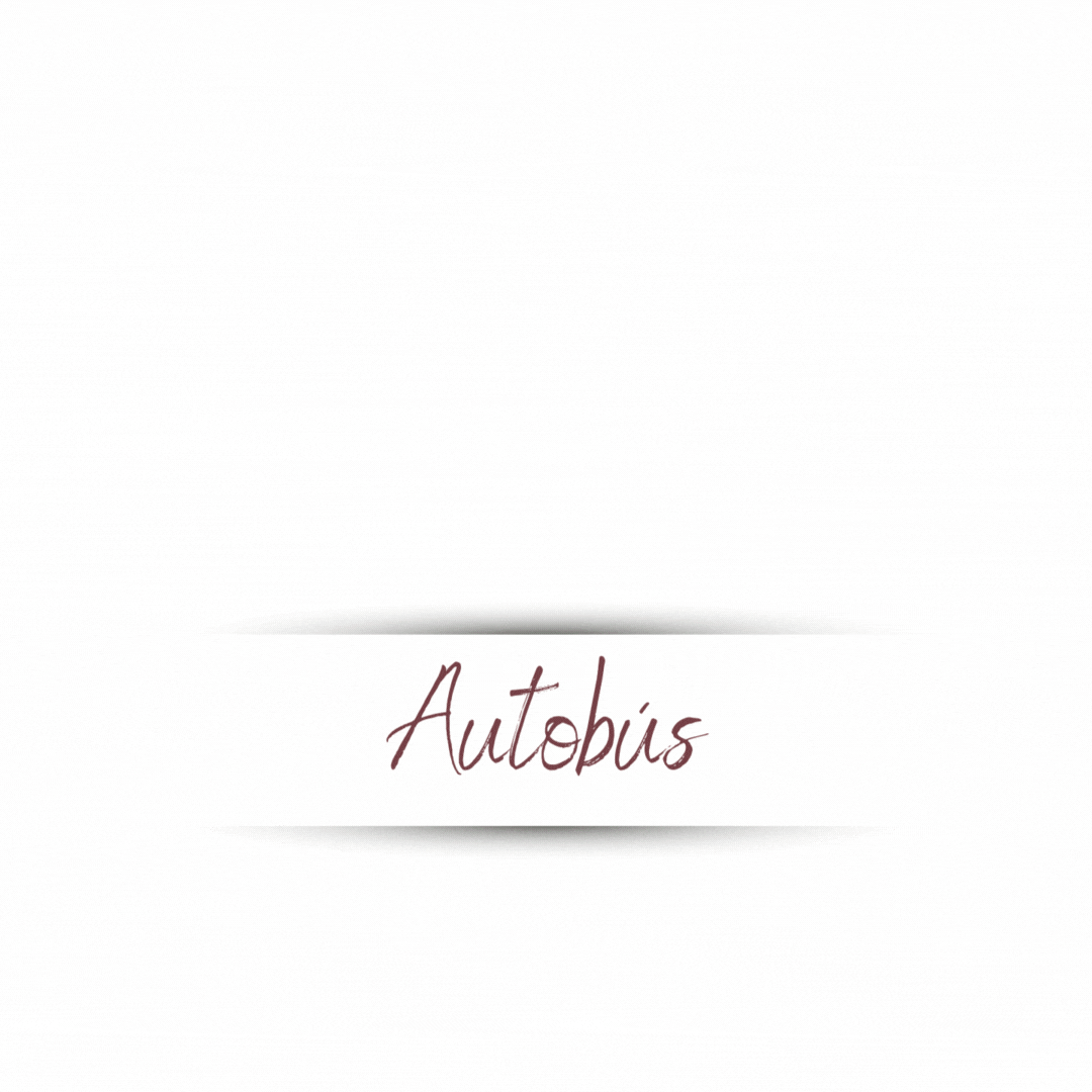 Our Promise - Autobus